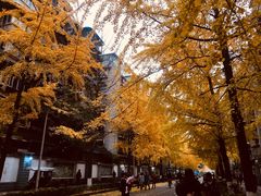 -四川大学(望江校区)