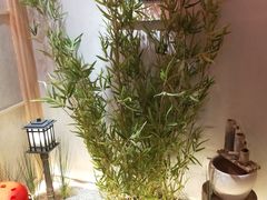-三和屋日式海鲜锅料理(启航大厦店)