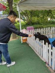 -萌宠亲子动物乐园(槐房万达店)