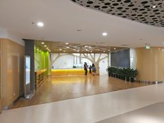 -中国宋庆龄青少年科技文化交流中心