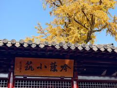 -常熟方塔园