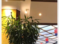 -眉州东坡(亚运村店)