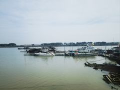 -大湾区中央湿地公园-十九涌