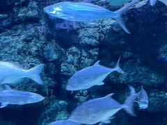 -郑州海洋馆