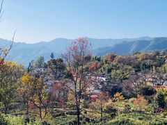 -塔川景区
