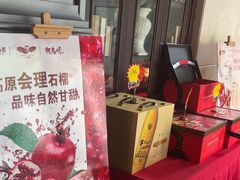 -大鸭梨烤鸭店(花园村店)