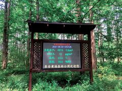 -黄海国家森林公园