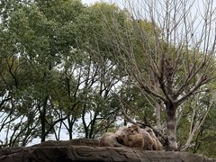 -杭州野生动物世界