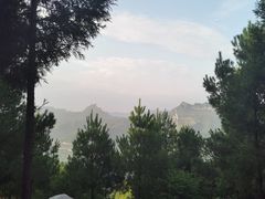 -重庆睡佛山森林公园