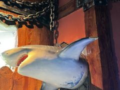 -太平洋海底世界