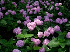 -常州古运河南大街文化旅游区-人民公园