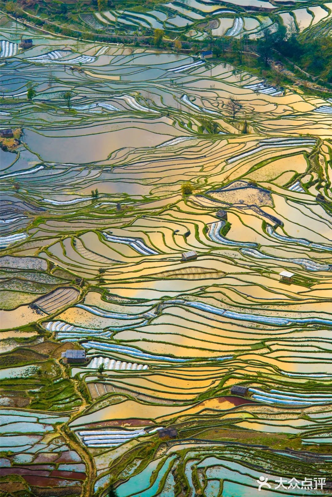 雲南元陽梯田