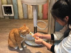 -小时光咖啡馆(开森度假森林店)