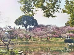 -无锡梅园公园