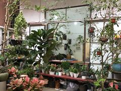 -小洲村