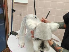 -FAELING PETS美天灵宠物(富力广场店)