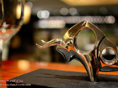 Juese_2014_3_18_004-圣丰索菲特·法国餐厅