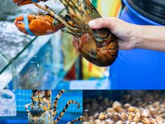 -海棠湾
