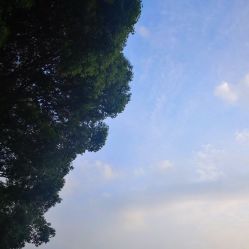 -安琪儿妇产医院·医养月子中心