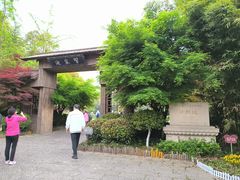 -习家池