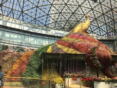 -花之城