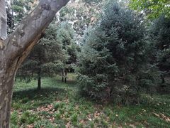 -郑州植物园