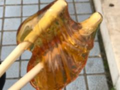 -团城山公园