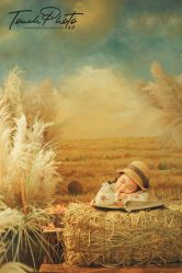 -韩国童感TOUCH PHOTO儿童摄影(朝阳分店)