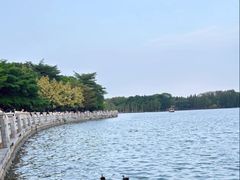 -海珠湖公园