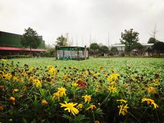 -洪湖家庭农场·团建·露营·会议