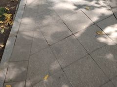 -海尔巴格一甸茶餐厅(团结路店)