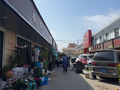 -南汇花鸟市场(上海浦东新花卉店)
