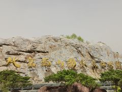 -北京西山国家森林公园