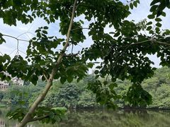 -重庆彩云湖湿地公园