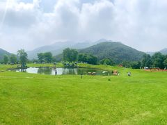 -玉渡山自然风景区