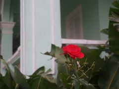 -龙环葡韵住宅式博物馆