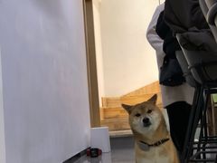 -NOTBAD 须时·咖啡馆