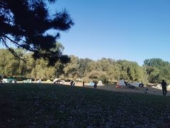 -长白岛森林公园