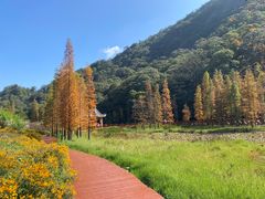 -广州市石门国家森林公园