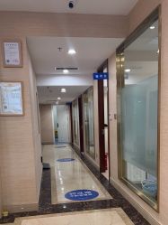 -碧莲盛·不剃发植发