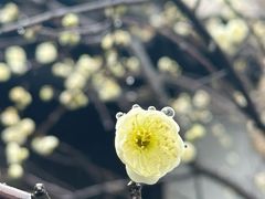 -南京市民俗博物馆(甘熙故居)