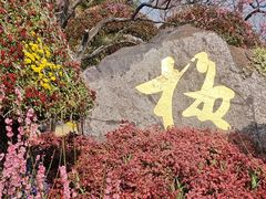 -无锡梅园公园