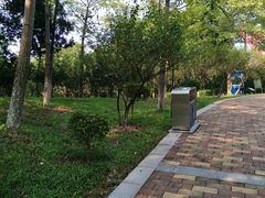 -玉树公园