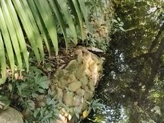 -广州兰圃