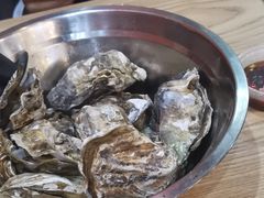 -爱蚝屋