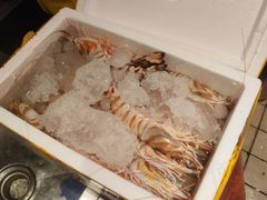 -地球美食剧场