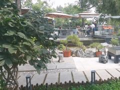 -蘇河湾·新鲁菜·泰山宴(泰山店)