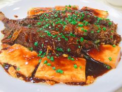 黄鱼烧豆腐-章氏(广粤路店)