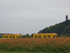 -径山花海