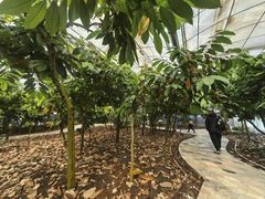 -歌斐颂巧克力小镇